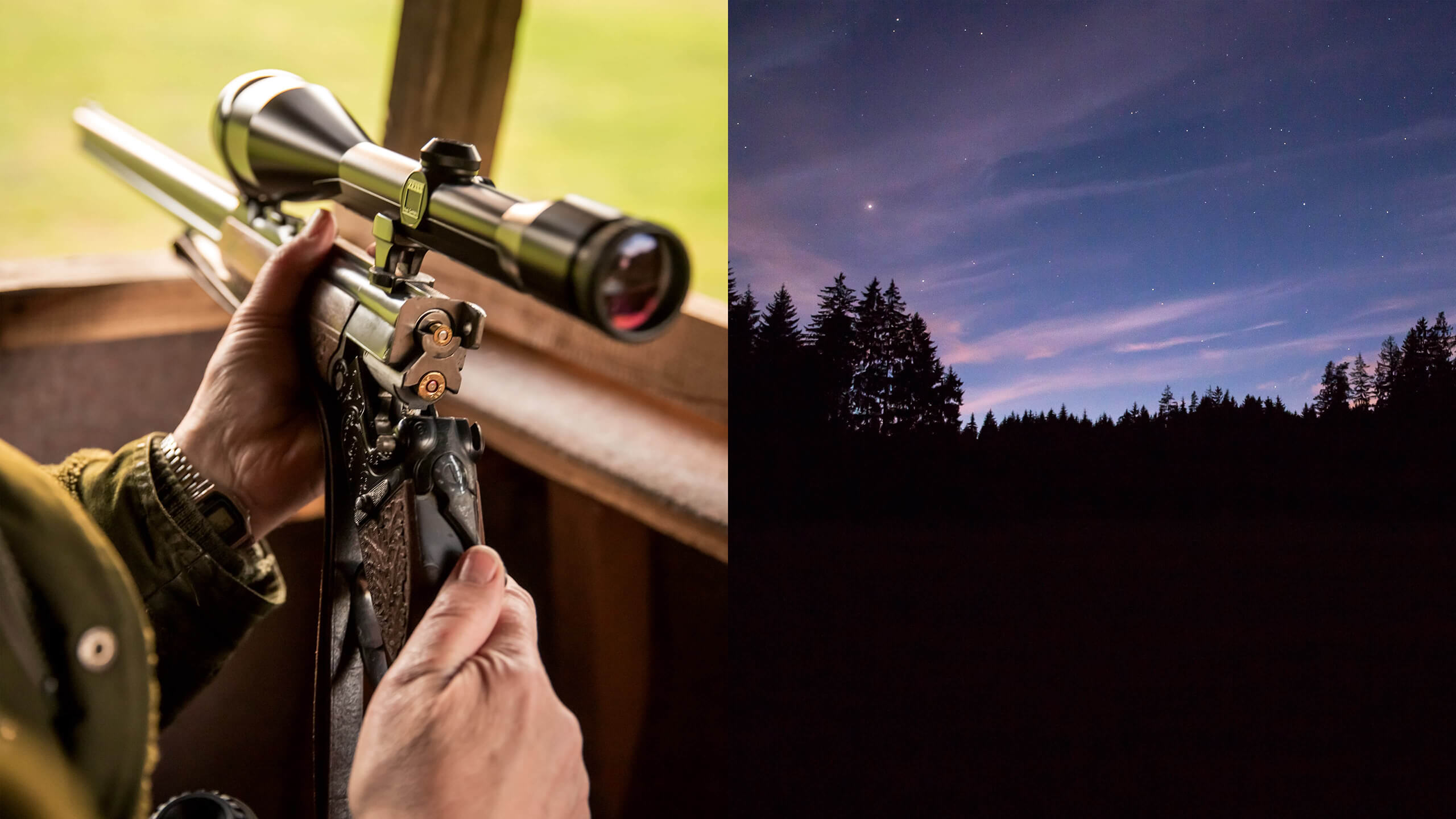 Gewähr und Sonnenaufgang im Gourmondo Magazin