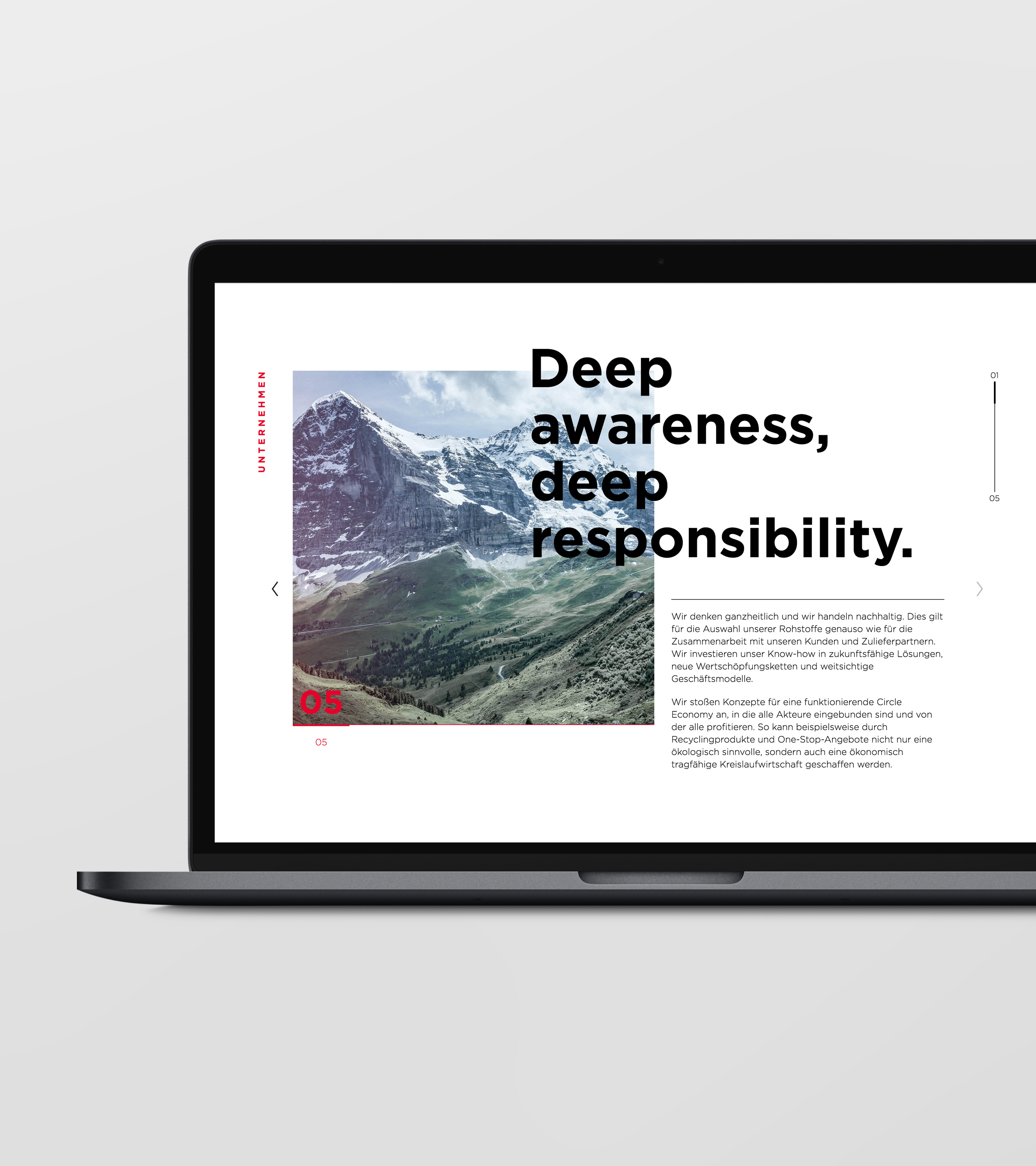 Meraxis Website in Desktopansicht 
