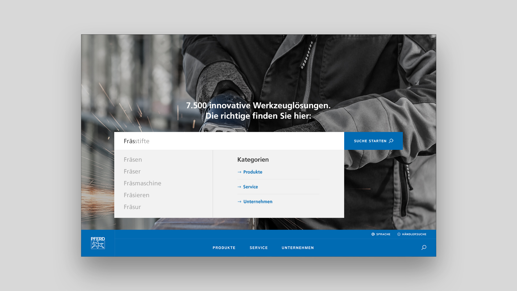 Aclewe Webdesign Agentur Pferd Webseite Suchmaschine